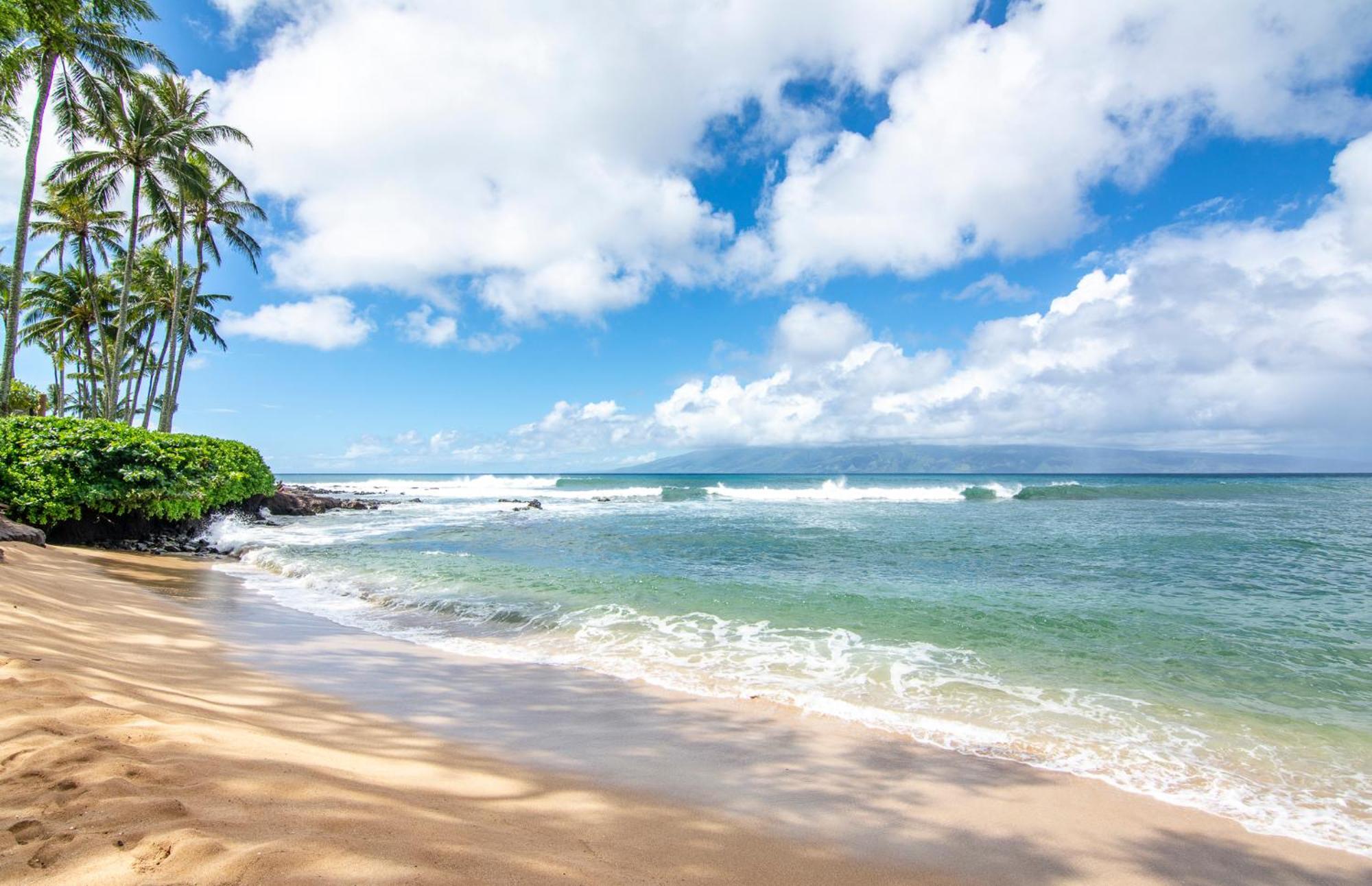 Napili Surf Beach Resort By Castle Kapalua Dış mekan fotoğraf