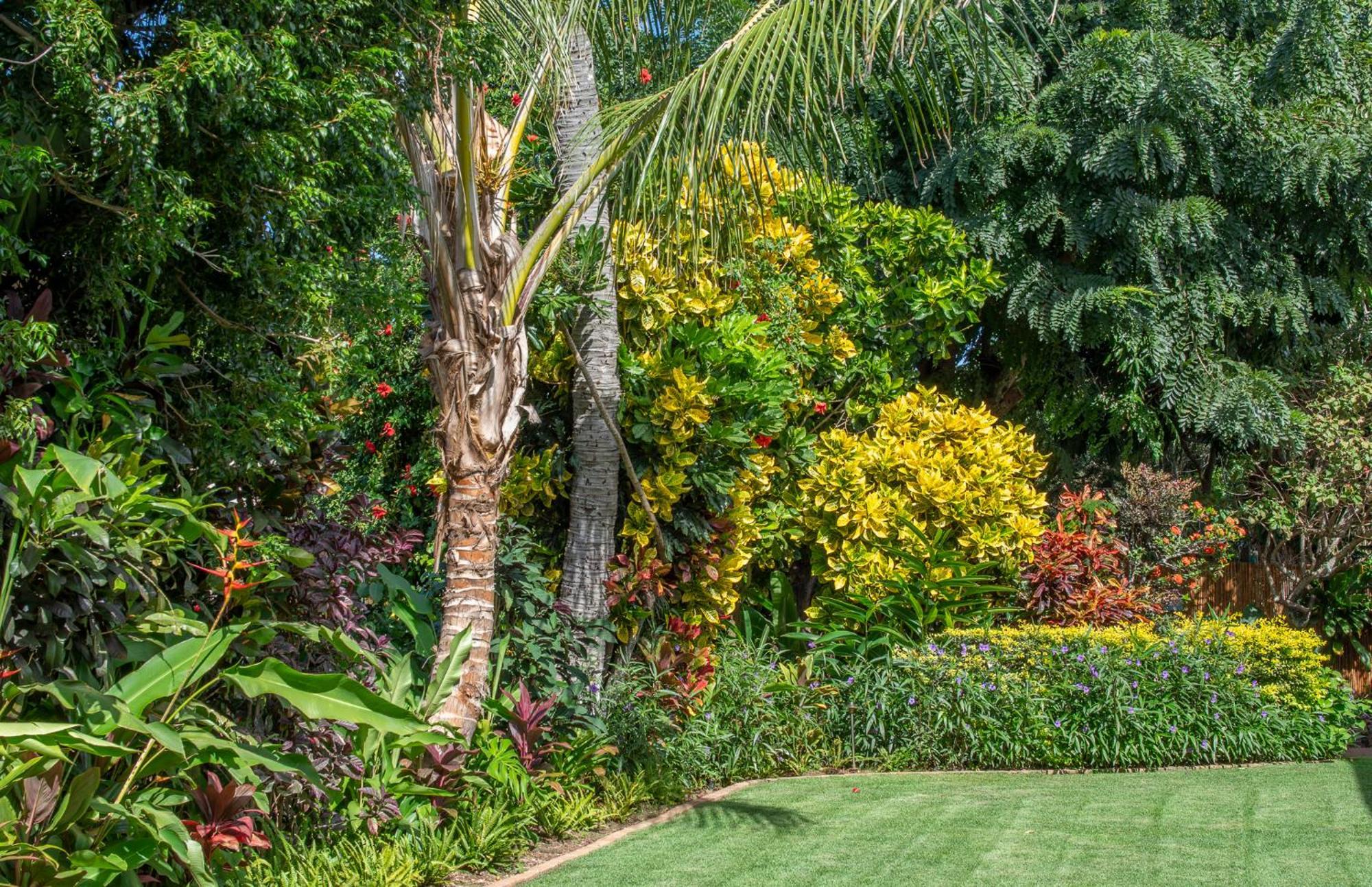 Napili Surf Beach Resort By Castle Kapalua Dış mekan fotoğraf