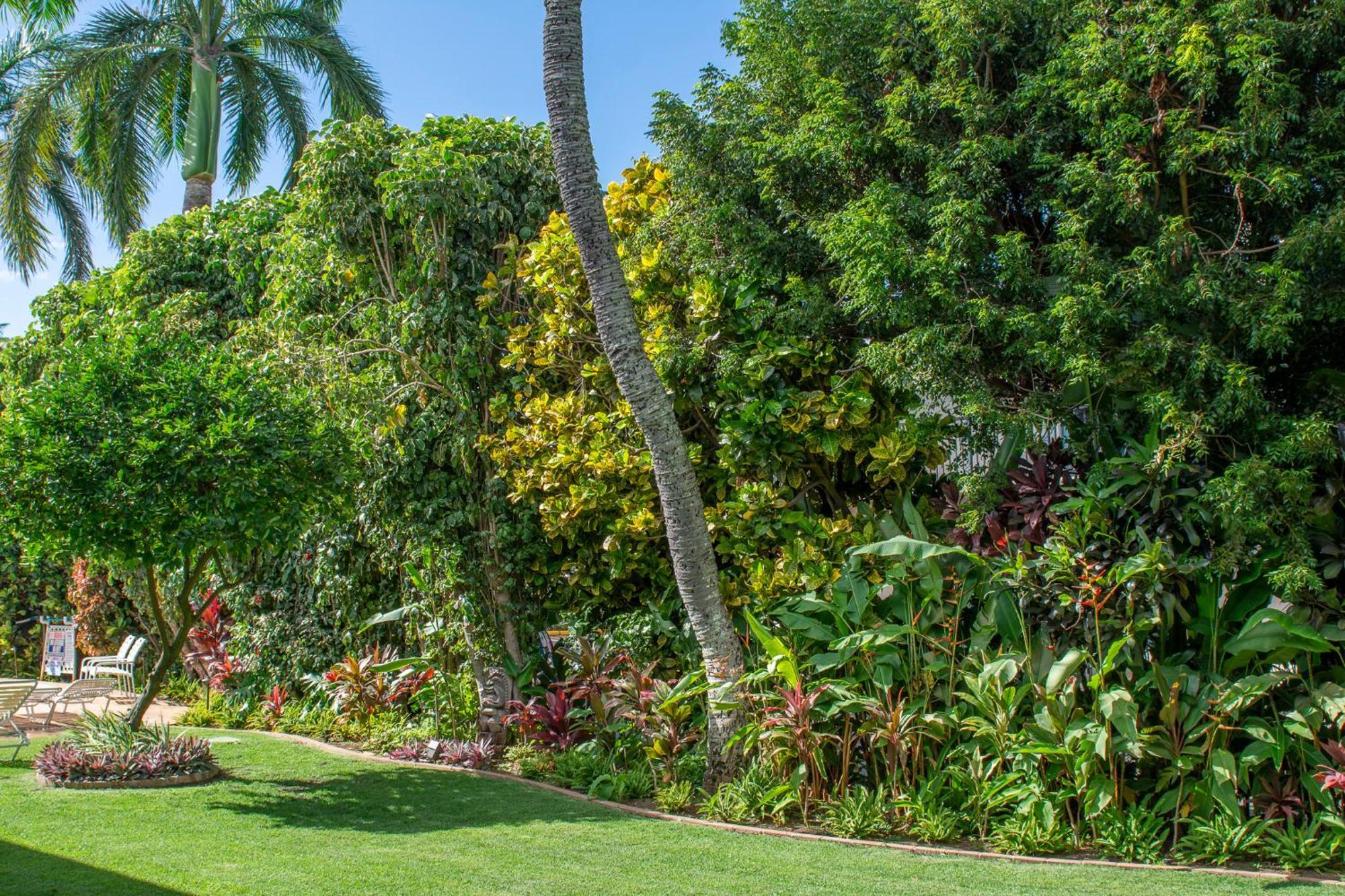 Napili Surf Beach Resort By Castle Kapalua Dış mekan fotoğraf